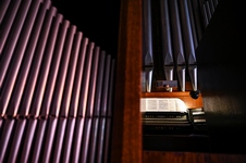 В филармонии прошла первая экскурсия «Бахослужения-2020», 23 Июля 2020г. — фото 5